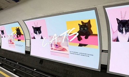 當倫敦商業地鐵廣告換成喵星人的萌照..