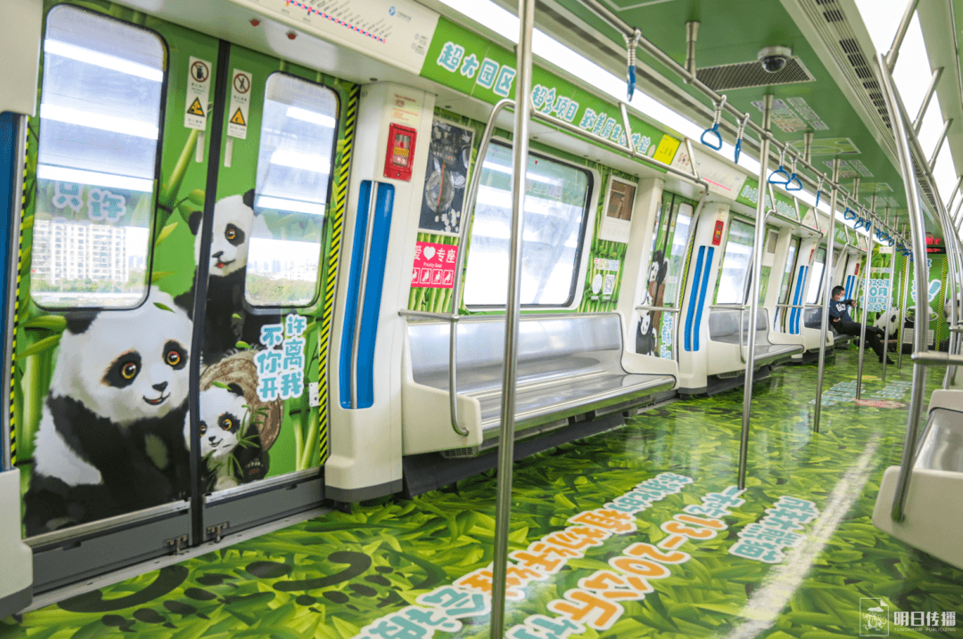 寧波地鐵車廂廣告價(jià)格多少錢？寧波地鐵廣告經(jīng)典全包車案例動(dòng)物園