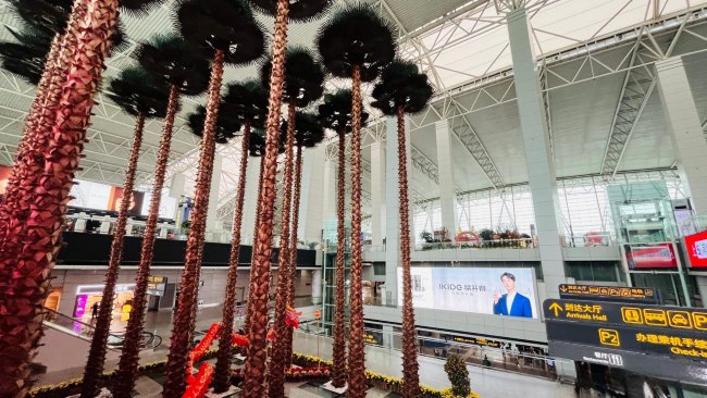 廣州機(jī)場(chǎng)出發(fā)值機(jī)大廳熱門廣告位案例，廣州白云機(jī)場(chǎng)廣告價(jià)格收費(fèi)