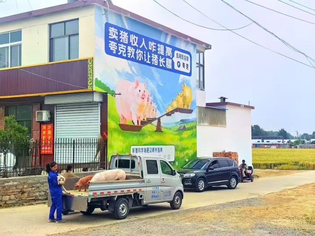 如何結合方言和文化元素設計刷墻廣告？