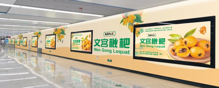 成都地鐵廣告-成都地鐵廣告投放價格-成都地鐵廣告公司