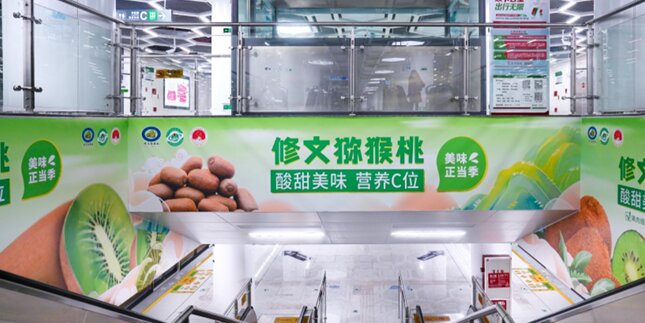 第一戶外傳媒-貴陽地鐵梯楣燈箱廣告