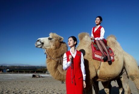 第一戶外傳媒-深圳航空-定制節目廣告 第一戶外傳媒-深圳航空-定制節目廣告