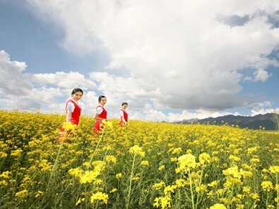 第一戶外傳媒-深圳航空-節目冠名廣告