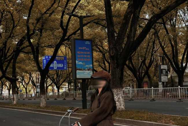 第一戶(hù)外傳媒-義烏路燈桿燈箱廣告